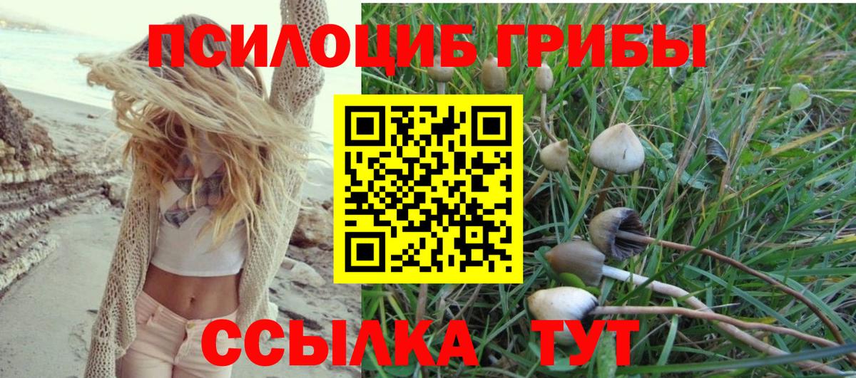 Галлюциногенные грибы мицелий Кисловодск