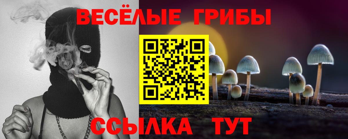Кисловодск  Псилоцибиновые грибы MAGIC MUSHROOMS  даркнет сайт  Вход с VPN  Галлюциногенные грибы Cubensis 